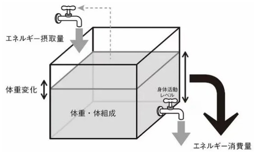 出所：厚生労働省『日本人の食事摂取基準（2020年版）』